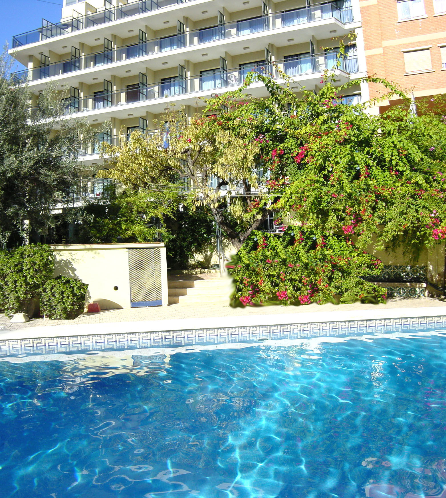 Hotel Cuco Benidorm Dış mekan fotoğraf